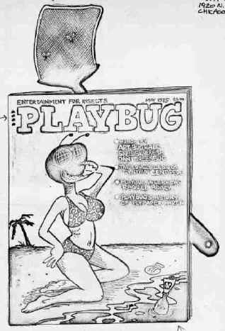 playbug rough by jay lynch