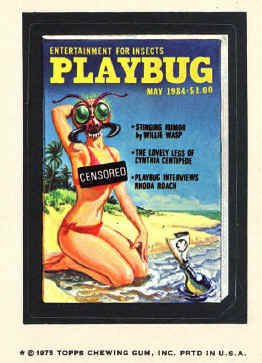 playbug
