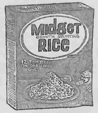 midget rice rough