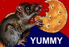 RATZ-YUMMY.jpg (11671 bytes)