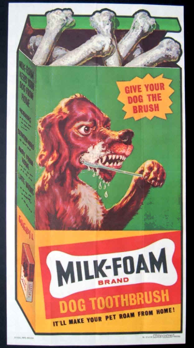 Milk Foam