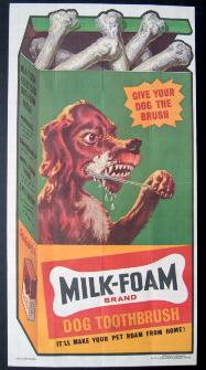Milk Foam